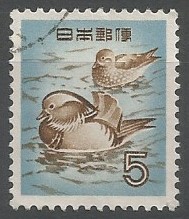 The global population of the mandarin duck is estimated to number c. 65,000-66,000 individuals. The overall trend is decreasing, although some populations may be stable. (Wetlands International, Wageningen [Nederland], 2006)