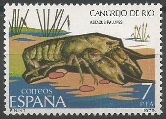cangrejo de río (Astacus pallipes)