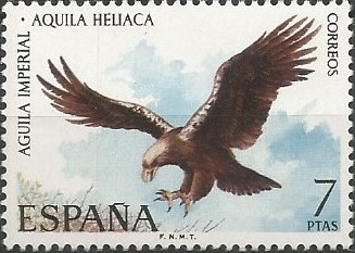  El águila imperial ibérica (Aquila adalberti), residente en España y Portugal, y pasajera en el noroeste de África, considerada una subespecie de águila imperial (Aquila heliaca) durante mucho tiempo, desde 1996 es reconocida como especie independiente debido a las importantes diferencias genéticas detectadas.