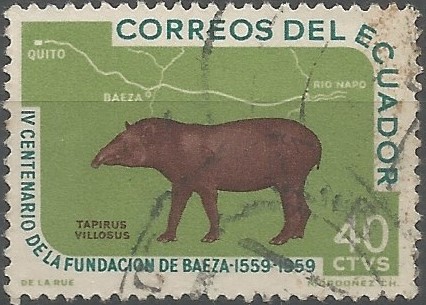 danta cordillerana (Tapirus villosus)