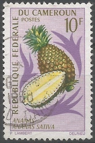 pineapple (Ananas sativa)