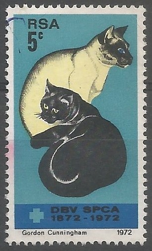 centenaire des sociétés pour la prévention de la cruauté envers les animaux: chats siamois et noir